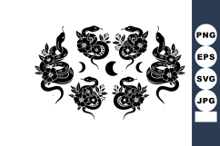 Black and white snake and floral pattern with moon phases ve Product Image 1