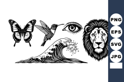 Detailed vintage style vector collection of butterfly, hummi Product Image 1