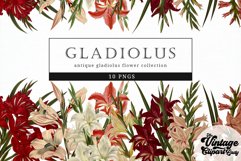 Gladious Vintage Floral Botanical Clip Art Product Image 1