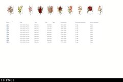 Gladious Vintage Floral Botanical Clip Art Product Image 2