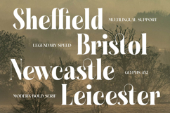 Glagiste - Modern Bold Serif Font Product Image 8