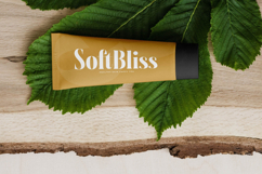 Glagiste - Modern Bold Serif Font Product Image 12