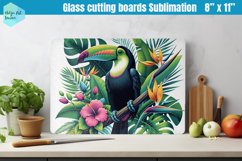 Glass Cutting Boards Kitchen | Toucan Product Image 1