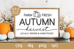 Farm Fresh Autumn Harvest | Autumn SVG | Pumpkin Patch SVG Product Image 1