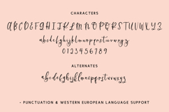 Glideaway Script Product Image 10