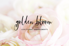 Glideaway Script Product Image 6