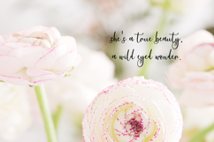 Glideaway Script Product Image 8