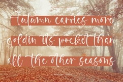 Glisten Bohotic - Modern Handwritten Script Product Image 6