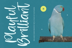 Glistening Rhythm - Bold Handwritten Font Product Image 5