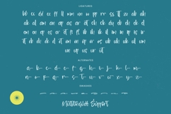 Glistening Rhythm - Bold Handwritten Font Product Image 19