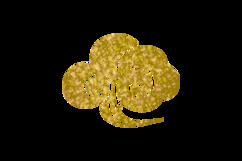 Glitter asian cloud clipart ornament element design Product Image 2