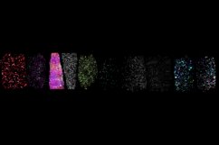 Glitter Brush Strokes Clipart Product Image 1