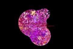 Glitter Abstract Shapes Product Image 11