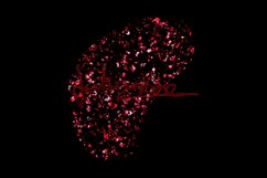 Glitter Abstract Shapes Product Image 9