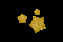 Glitter stars decoration ornament element design Product Image 2