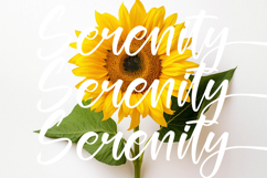 Glitters Sparkle - Modern Bold Handwritten Font Product Image 12