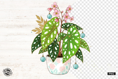 Spring Houseplant Png Sublimation - Houseplant Png Product Image 1