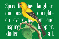 Glomreis - Modern Serif Font Product Image 10