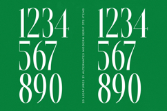 Glomreis - Modern Serif Font Product Image 14