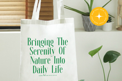 Glomreis - Modern Serif Font Product Image 17