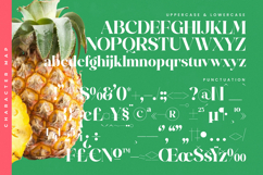 Glory Sugar - Modern Serif Font Product Image 19