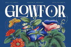 Glowfor - Modern Serif Display Font Product Image 1