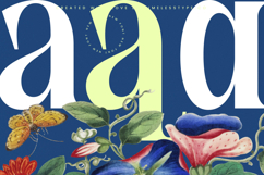 Glowfor - Modern Serif Display Font Product Image 13