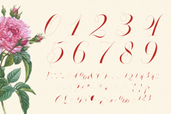 GLOWING ROMANCE - Elegant Script Calligraphy Font Product Image 16