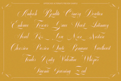GLOWING ROMANCE - Elegant Script Calligraphy Font Product Image 20