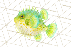 Neon Ocean Dwellers Clipart,Vibrant Sea Life Png Product Image 4