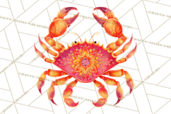Neon Ocean Dwellers Clipart,Vibrant Sea Life Png Product Image 5