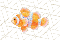 Neon Ocean Dwellers Clipart,Vibrant Sea Life Png Product Image 4
