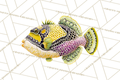 Neon Ocean Dwellers Clipart,Vibrant Sea Life Png Product Image 2