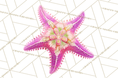 Neon Ocean Dwellers Clipart,Vibrant Sea Life Png Product Image 2