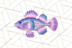 Neon Ocean Dwellers Clipart,Vibrant Sea Life Png Product Image 3
