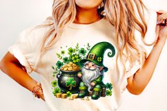 St Patrick&#039;s Day Gnome PNG, Lucky Day PNG, Shamrock PNG Product Image 1