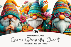 Gnome Dragonfly Clipart Sublimation Product Image 1
