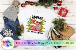 Gnome For The Holidays Sublimation | Christmas Gnomes PNG Product Image 1