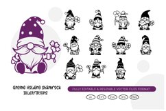 Gnome Holding Shamrock Illustrations Product Image 1