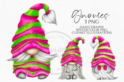 Pink &amp; Lime Gnomes PNG Clipart Product Image 1