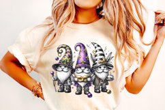 Mardi Gras Gnomes PNG, Mardi Gras Sublimation, Gnomes PNG Product Image 2