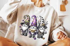 Mardi Gras Gnomes PNG, Mardi Gras Sublimation, Gnomes PNG Product Image 3