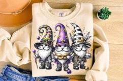 Mardi Gras Gnomes PNG, Mardi Gras Sublimation, Gnomes PNG Product Image 1