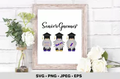 Senior gnomes SVG. Graduation gnomes. Funny grad quote Product Image 3