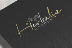 Go And Back Product Image 3