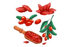 goji berry red set cartoon vector illustration Product Image 1
