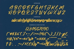 Melting Bakeds - Modern Handwritten Font Product Image 17