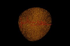 Gold Dust Elements Product Image 8