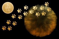 Siamese Cats Clipart Set - 25 .PNG Files Product Image 7