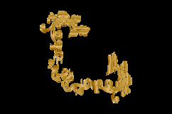 Golden decorative floral luxury ornamental frame ornate Product Image 2